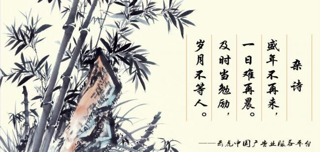 辦公室風(fēng)水?dāng)[件,助你事業(yè)風(fēng)生水起