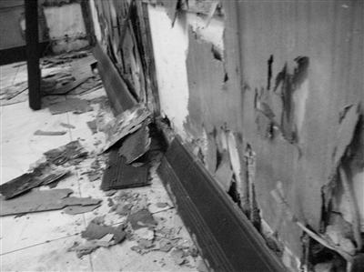 白蟻的危害，每年造成的直接經(jīng)濟損失在3000萬元以