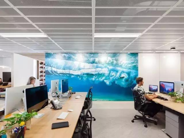 2000m2 像家一樣溫馨的辦公室，看完我心動(dòng)了