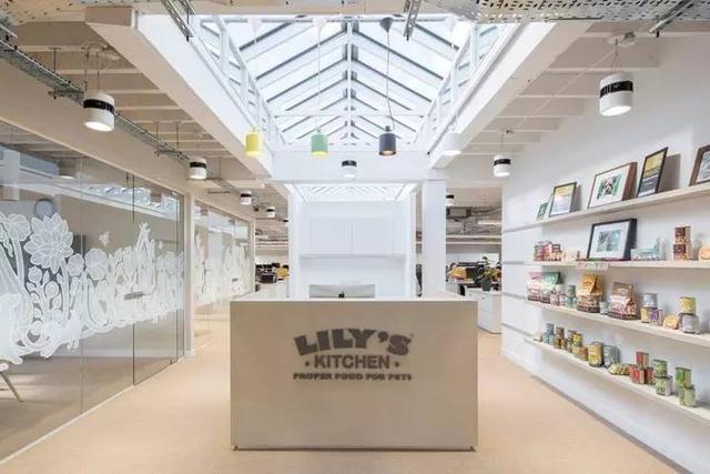 150億市場潛力，辦公室裝修也要開始考慮狗狗的感受了